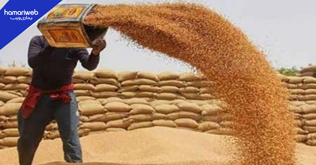 بلوچستان میں گندم کا سرکاری ذخیرہ ختم، آٹے کا 20 کلو تھیلا 3 ہزار 260 روپے کا ہوگیا