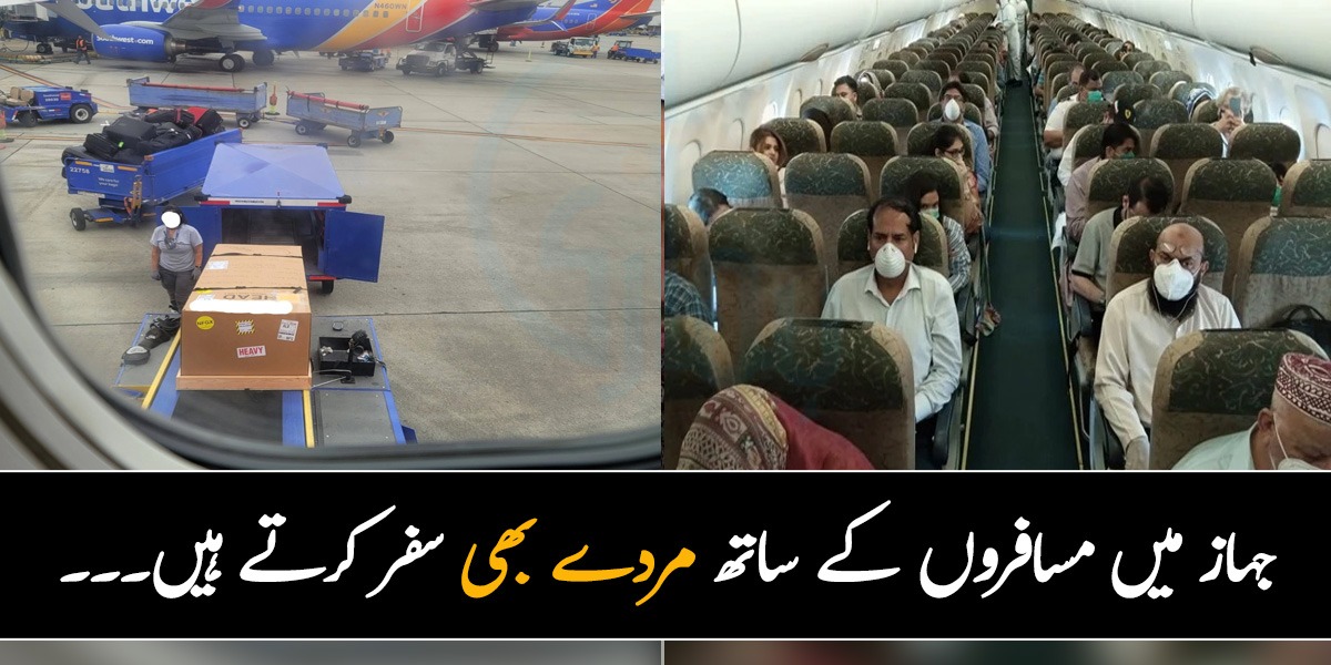 مردے بھی آپ کے ساتھ سفر کرتے ہیں۔۔۔ جانیے جہاز کے 6 عجیب و غریب راز جن سے بہت کم لوگ واقف ہیں