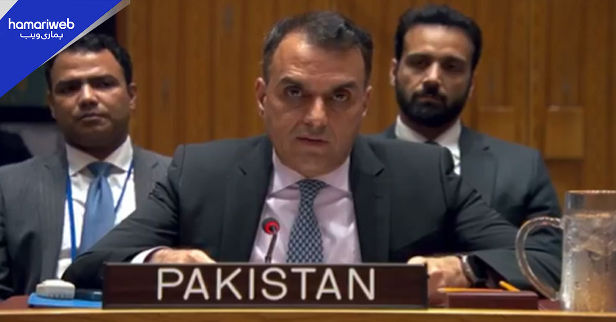 سعودی عرب پر حوثیوں کے میزائل حملے کی پاکستان نے شدید مذمت کردی
