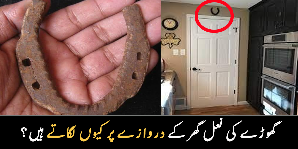 چاند کی شکل کی ہوتی ہے اور ۔۔ گھوڑے کی نعل گھر کے دروازے پر کیوں لگاتے ہیں؟ دلچسپ معلومات