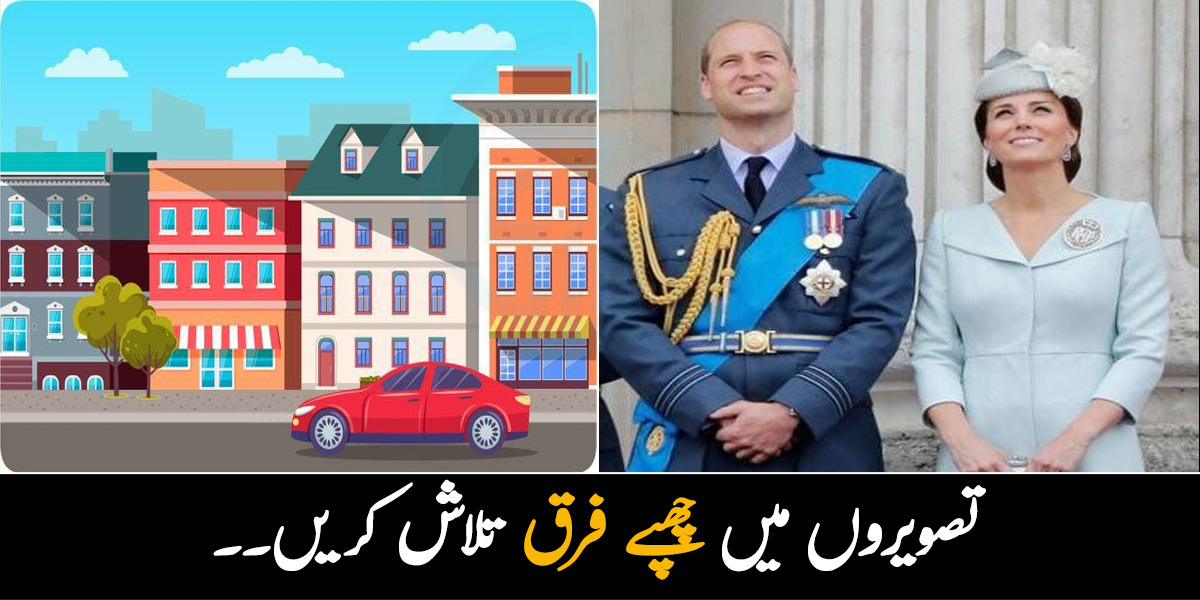 تصویروں میں چھپے فرق تلاش کریں۔۔ 3 ایسی دلچسپ تصاویر جن میں چھپے راز تلاش کر کے آپ بھی عقل مند ہونے کا ثبوت دے سکتے ہیں