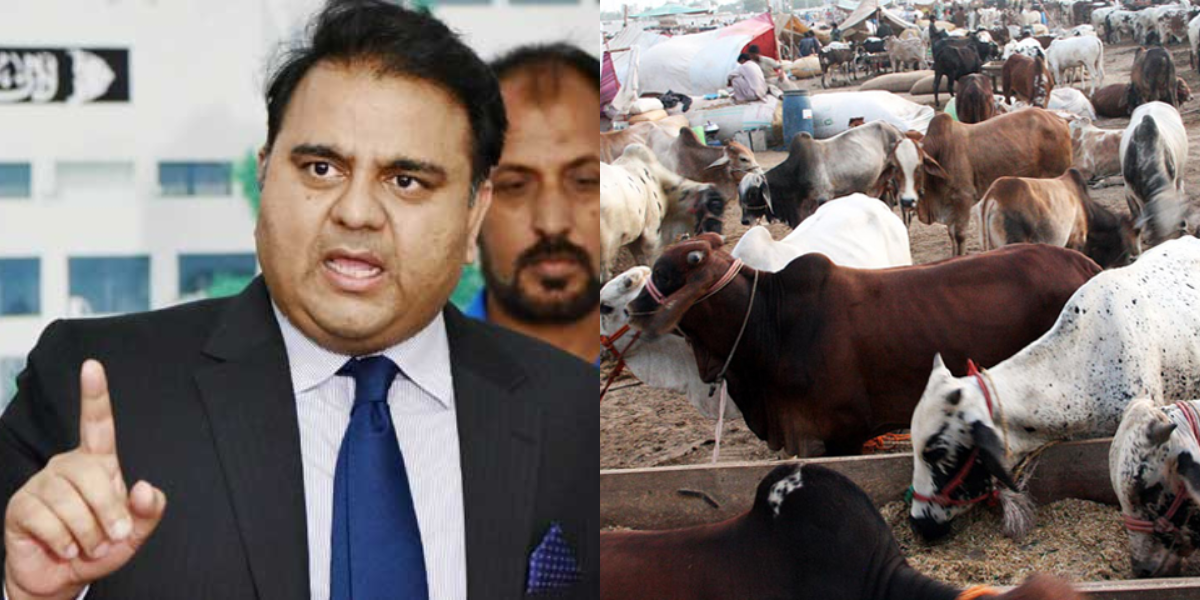 عیدالاضحیٰ کس دن ہوگی؟ فواد چوہدری نے اعلان کردیا