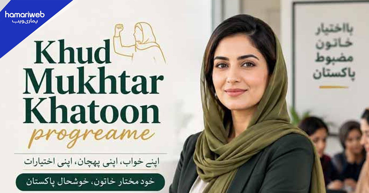 کاروباری خواتین کیلیے ڈیجیٹل قرضہ اسکیم متعارف، 15 لاکھ روپے تک مل سکیں گے