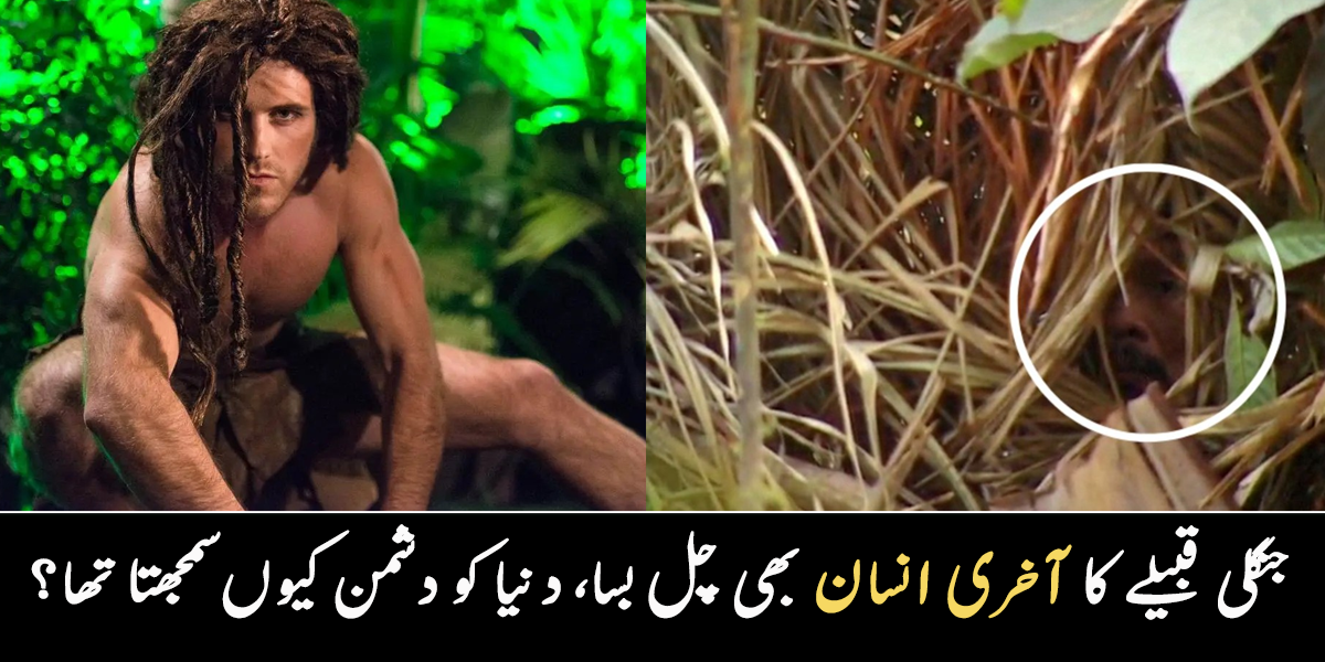 آخری جنگلی انسان تنہائی میں چل بسا ۔۔ پورے جنگل پر راج کرنے والا وہ انسان، جس کے خوف سے لوگ جنگل میں نہیں آتے تھے