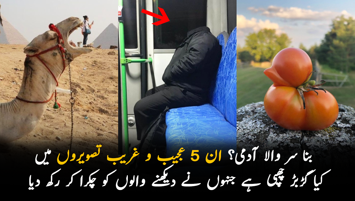 بنا سر والا آدمی؟ ان 5 عجیب و غریب تصویروں میں کیا گڑبڑ چھپی ہے جنہوں نے دیکھنے والوں کو چکرا کر رکھ دیا