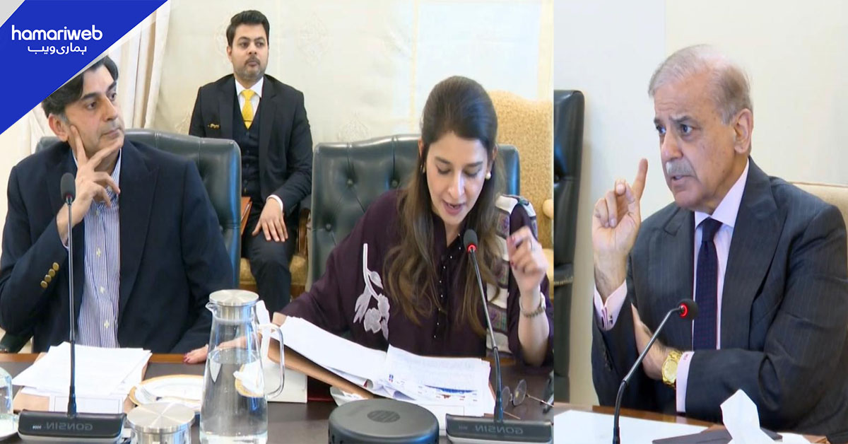 بینظیر انکم سپورٹ پروگرام کو انسداد پولیو اقدامات سے منسلک کرنے پر غور 