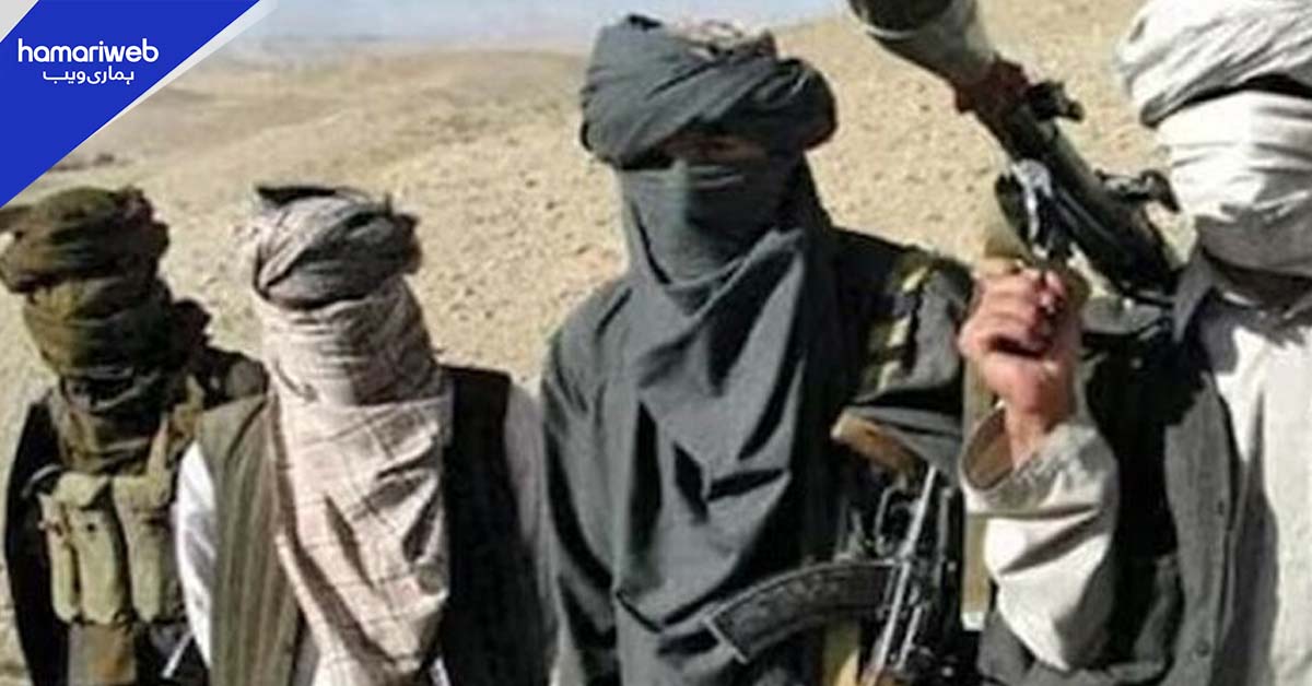 افغانستان میں دہشت گردوں کی محفوظ پناہ گاہیں عالمی امن کے لیے بڑا خطرہ بن گئیں