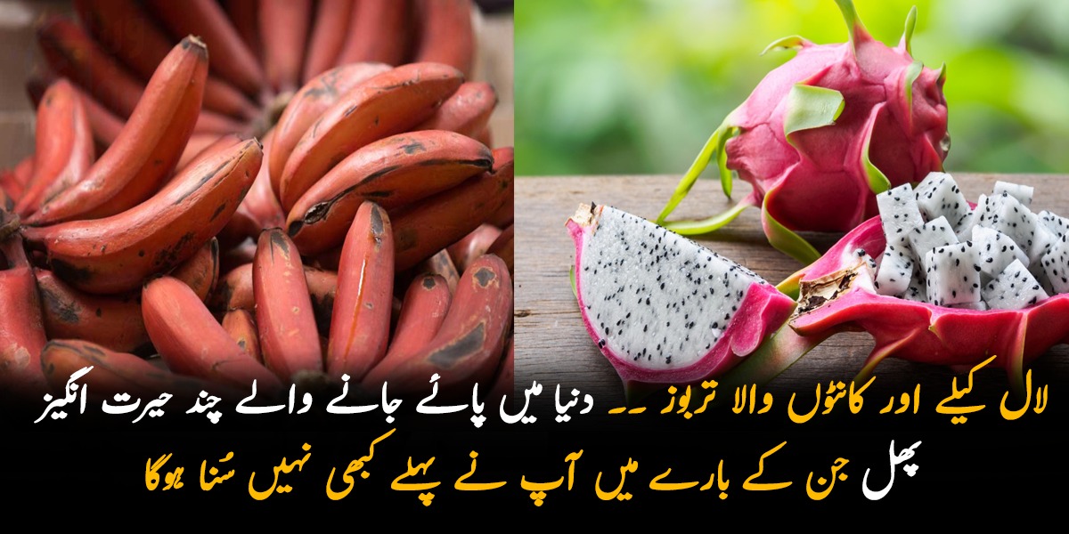 کانٹوں والا تربوز اور لال کیلے۔۔ جانیئے دنیا میں پائے جانے والے چند حیرت انگیز پھلوں کے بارے میں جن کو آپ نے پہلے کبھی نہیں سُنا ہوگا