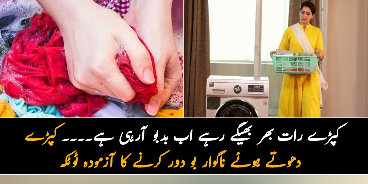 کپڑے رات بھر بھیگے رہے اب بدبو آرہی ہے۔۔۔۔ کپڑے دھوتے ہوئے ناگوار بو دور کرنے کا آزمودہ ٹوٹکہ