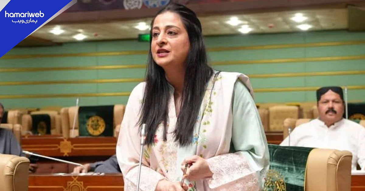 سندھ کے عوام کو نقشوں یا سیاسی بیانات سے تقسیم نہیں کیا جا سکتا، ندا کھوڑو