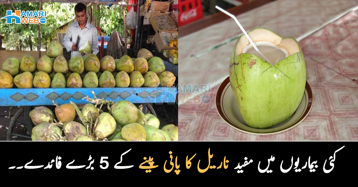 دودھ سے بھی طاقتور ۔۔ کئی بیماریوں میں مفید ناریل کا پانی پینے کے یہ 5 بڑے فائدے جان لیں