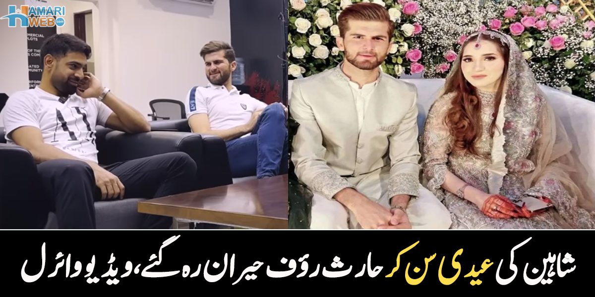 کتنی عیدی ملی تھی؟ شاہین شاہ آفریدی کی عیدی سن کر حارث رؤف اور فخر زمان حیران رہ گئے، ویڈیو وائرل