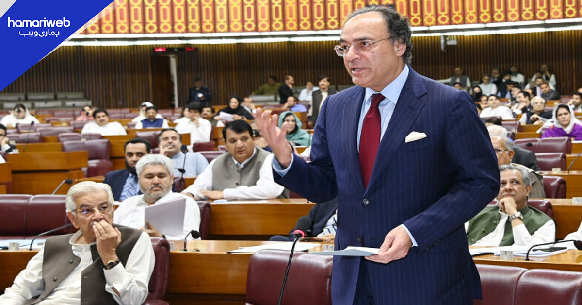 سبسڈی صرف مستحق افراد کے لیے مختص ہے، وزیر خزانہ 