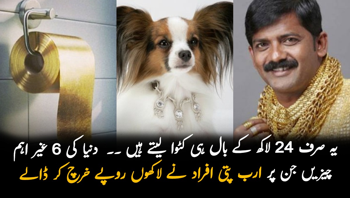 یہ صرف 24 لاکھ کے بال ہی کٹوا لیتے ہیں ۔۔  دنیا کی 6 غیر استعمال شدہ چیزیں جن پر ارب پتی افراد نے لاکھوں روپے خرچ کر ڈالے