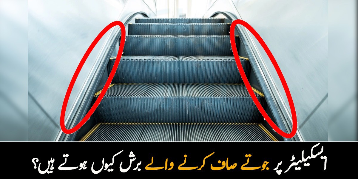 ایسکیلیٹر کے کناروں پر جوتے صاف کرنے والے برش کیوں ہوتے ہیں؟ جانیئے اس سے متعلق وہ باتیں جو کم لوگ جانتے ہیں