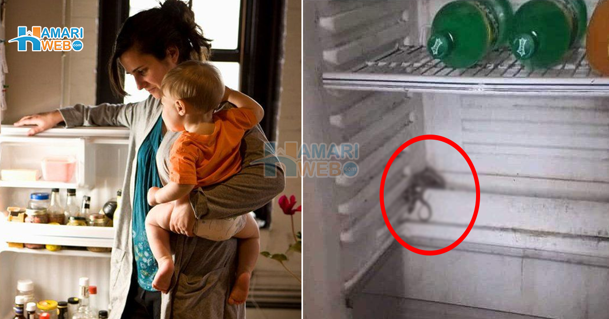 کاش میں بچوں کو دودھ نہ پینے دیتی ۔۔ ایک فریج نے کیسے خاتون کے دو معصوم بچوں کی جان لے لی؟