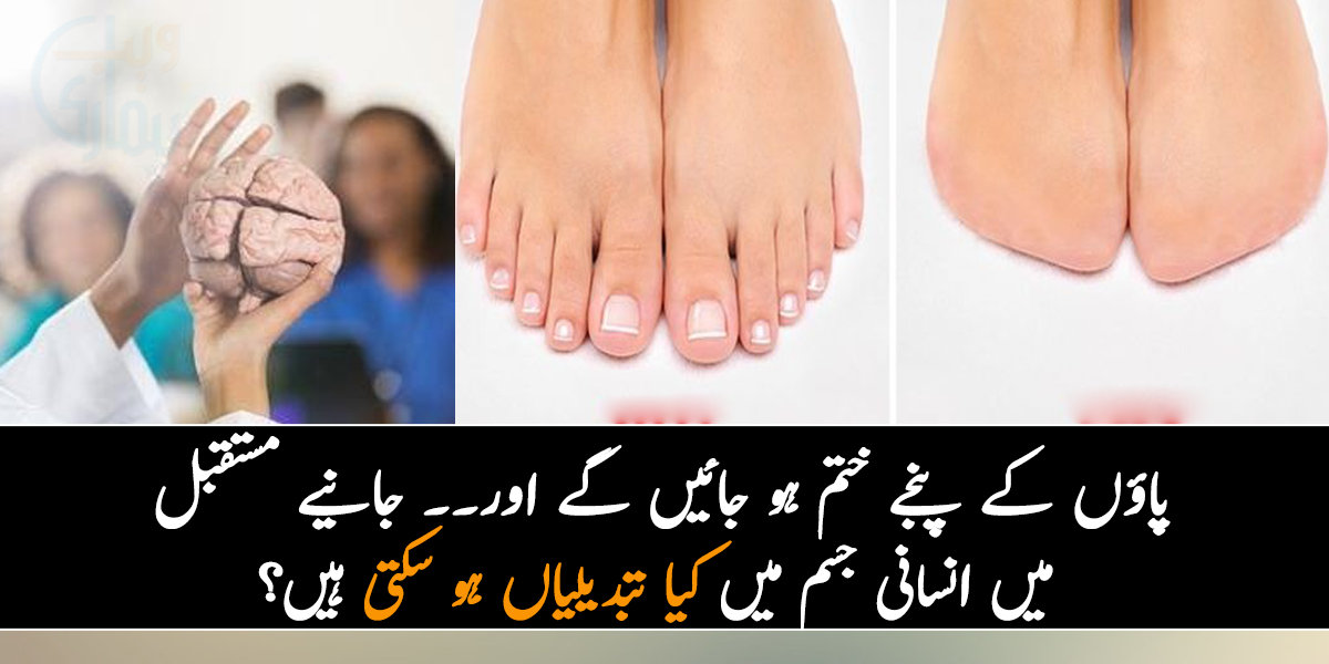 پاؤں کے پنجے ختم ہو جائیں گے اور۔۔ جانیے مستقبل میں انسانی جسم میں کیا تبدیلیاں ہو سکتی ہیں؟