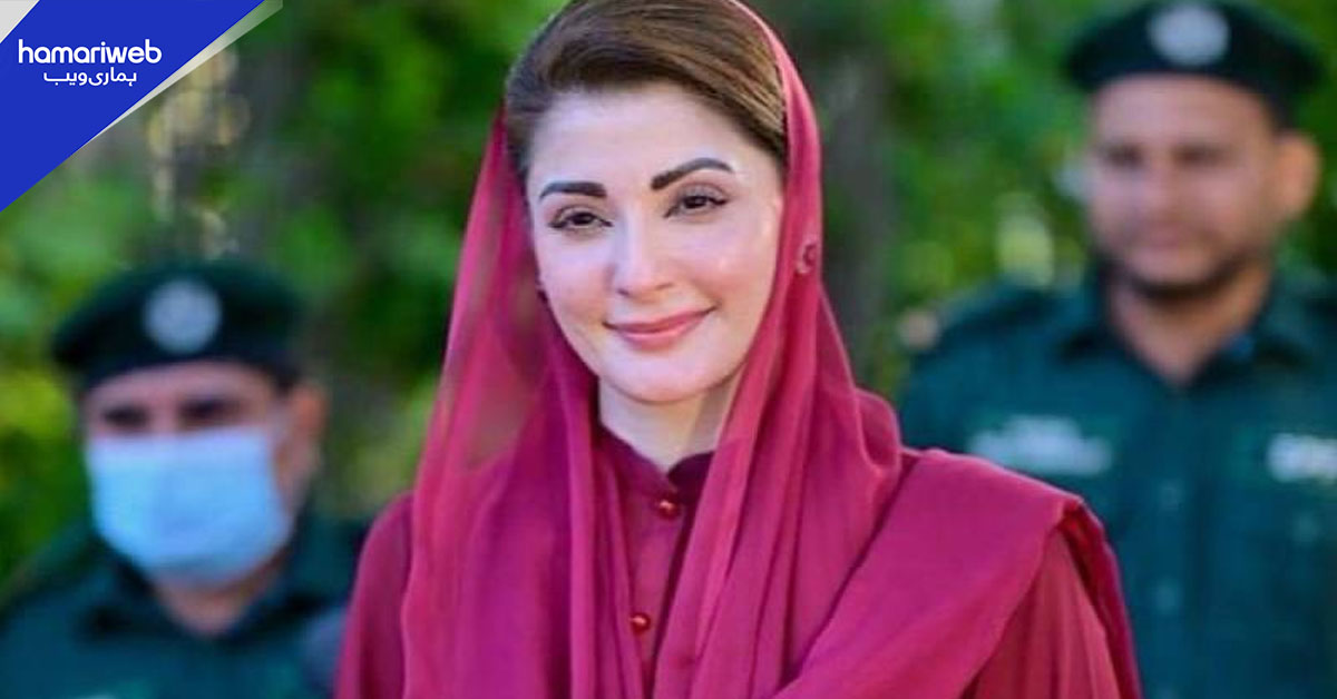 پنجاب میں گرین انڈسٹریل اکنامک زون کی منظوری، سرمایہ کاروں کے لیے خصوصی مراعات 