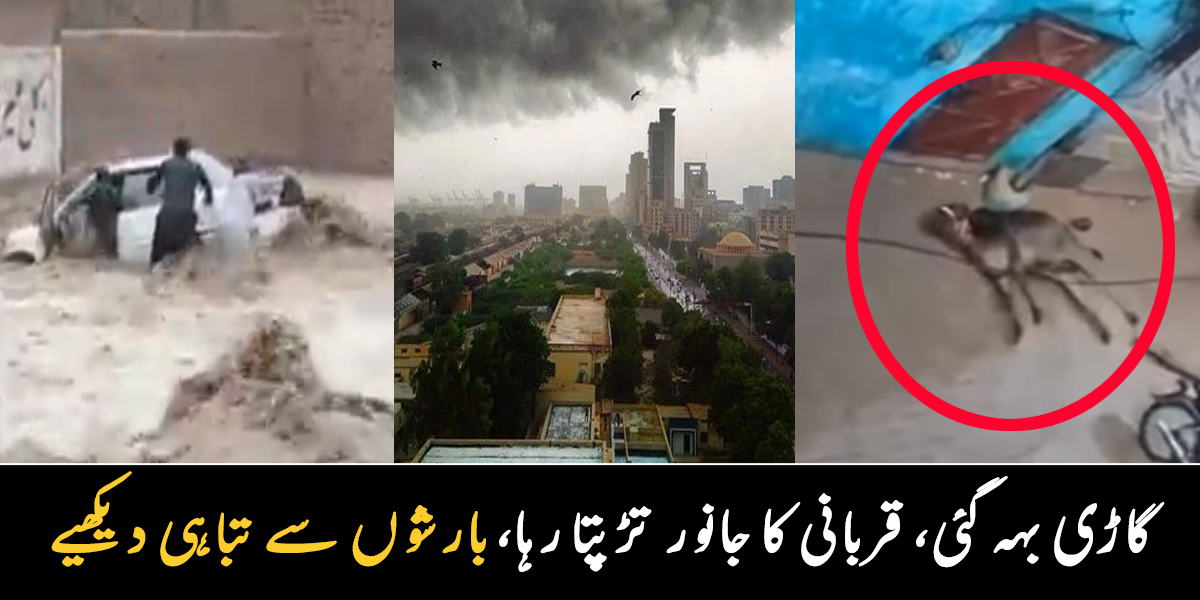 بارش کے پانی میں گاڑیاں بہنے لگیں، کرنٹ لگنے سے جانور تڑپتا رہا، ۔۔ کراچی میں خطرناک بارشوں نے تباہی مچا دی، دیکھیے
