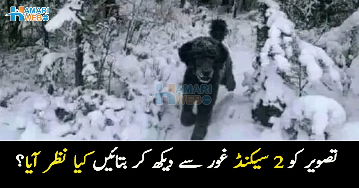 2 سیکنڈ غور سے دیکھ کر بتائیں کیا نظر آیا؟ یہ مشکل تصویری پہیلی آپ کو سر کھجانے پر مجبور کردے گی