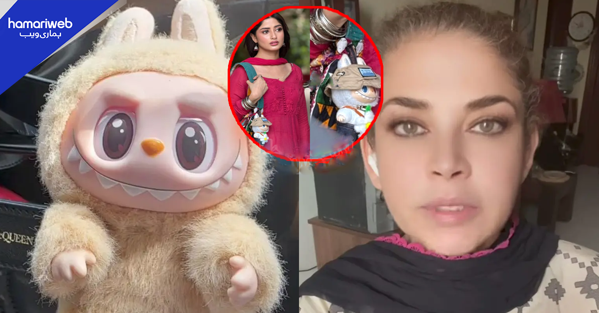 اس کو بیگ پر لٹکا کر گھوم رہی ہیں، یہ بدقسمتی۔۔ مشی خان نے لیبوبو گڑیا کے ٹرینڈ سے متعلق کیا خوفناک انکشاف کردیا؟