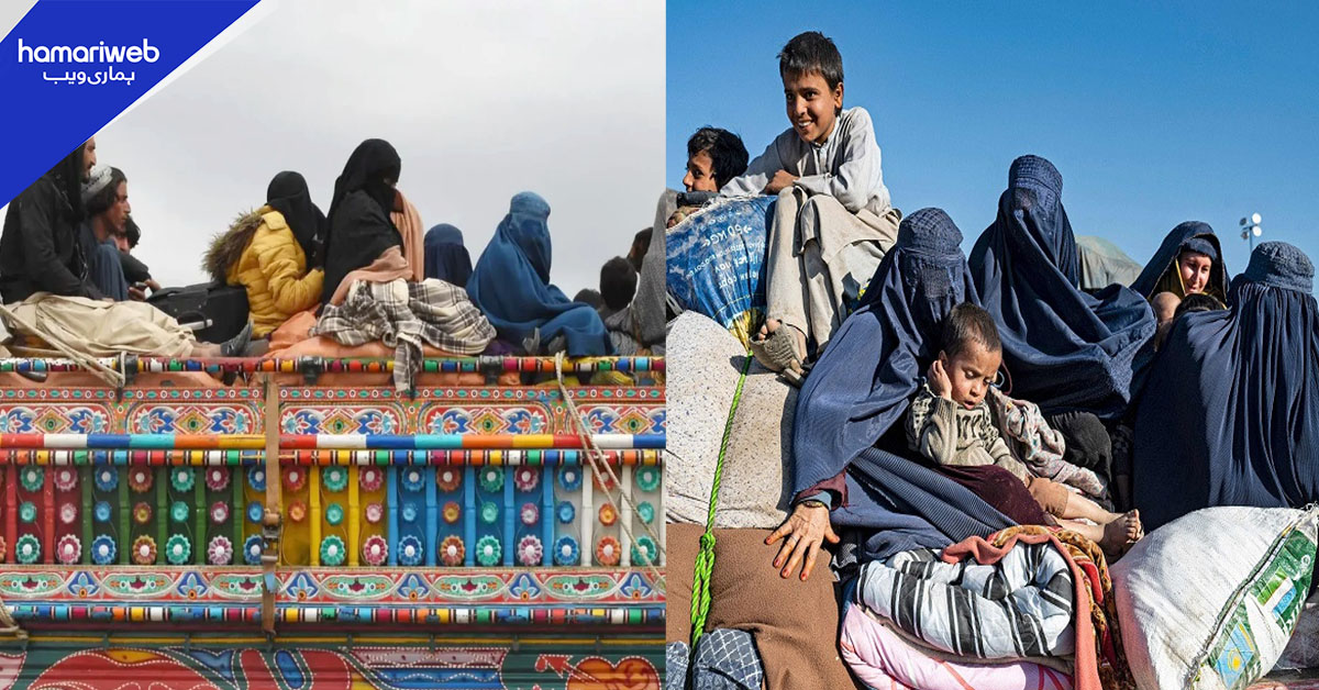 آب تک کتنے افغان مہاجرین اپنے وطن واپس لوٹ چکے ہیں؟