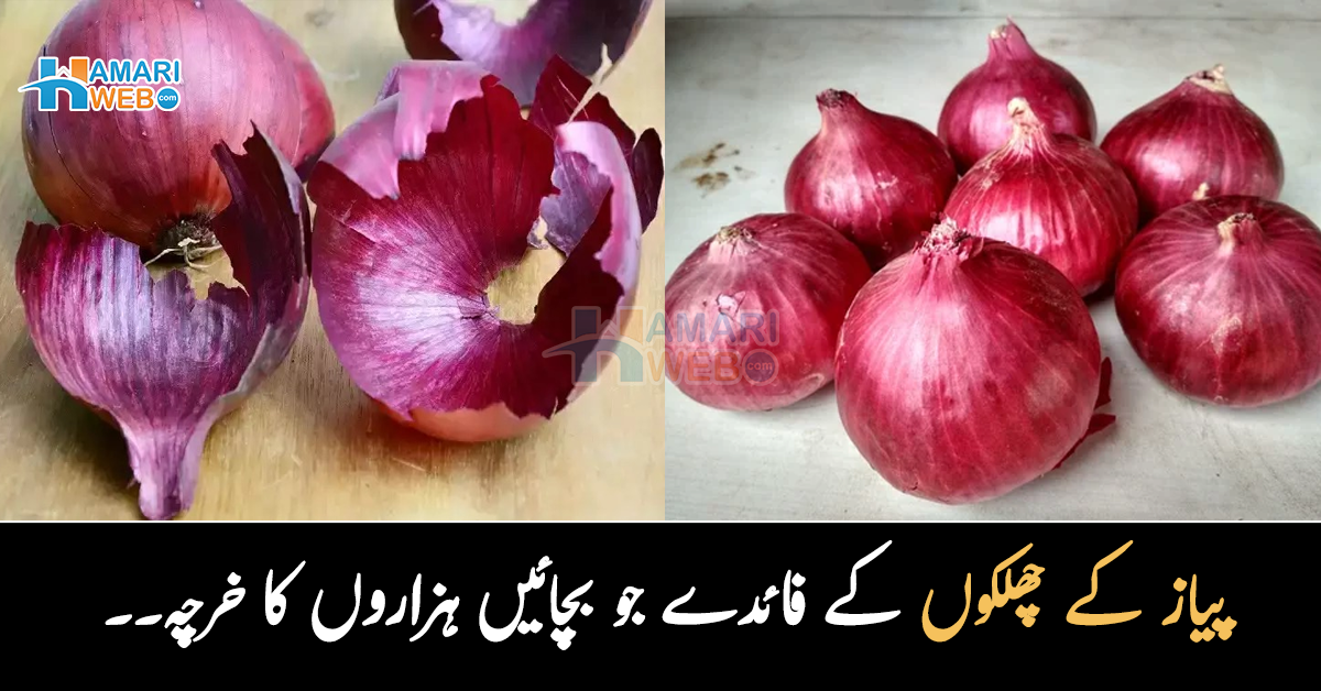 پیاز کے چھلکوں کو بے کار سمجھ کر پھینک دیتے ہیں تو ٹہریں۔۔ جانیں ان کے وہ فائدے جن سے آپ ہزاروں کا خرچہ بچا سکتے ہیں