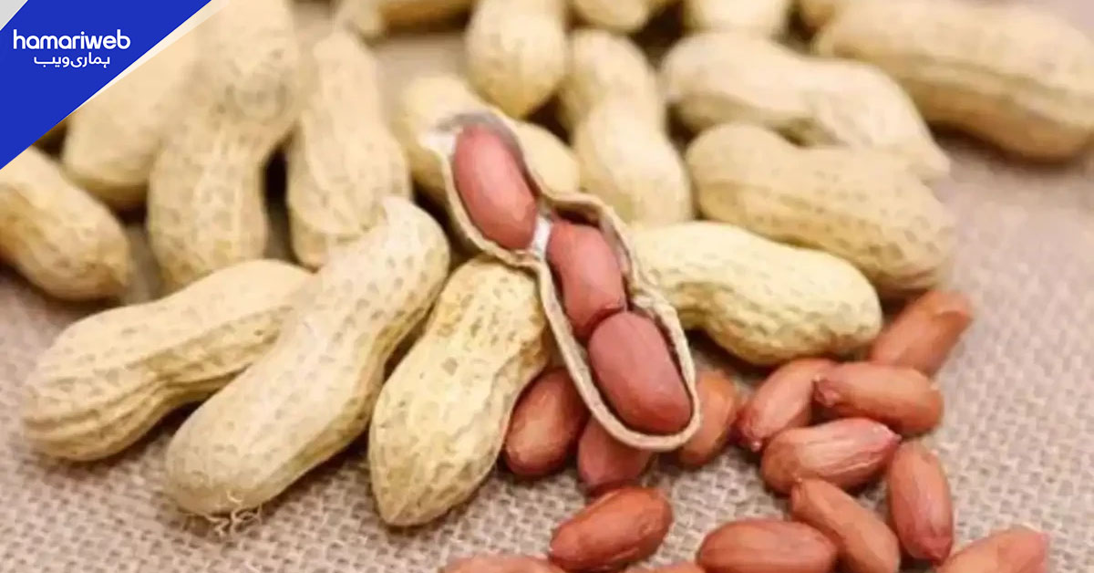 مونگ پھلی کے سرخ چھلکے میں چھپا ہے غذائیت کا اصل خزانہ