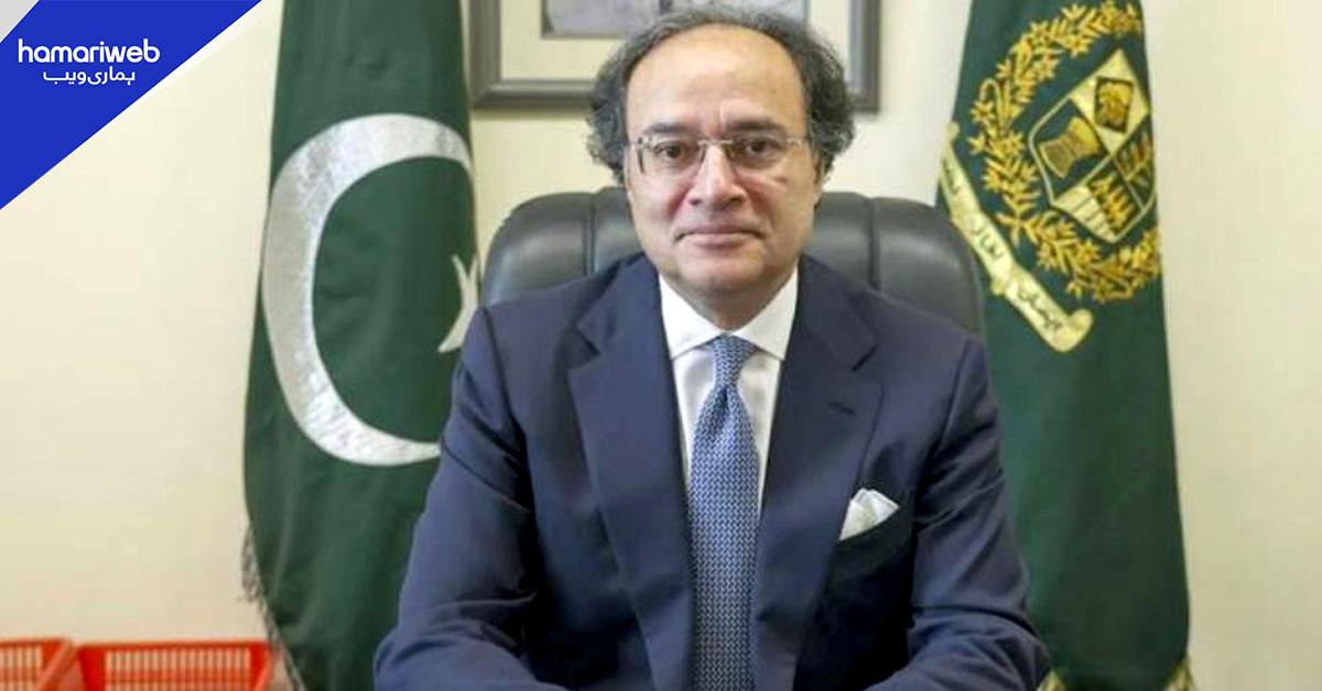 دھرنوں اور ہڑتالوں سے معیشت کو یومیہ 120 ارب روپے نقصان ہوسکتا ہے، وزیر خزانہ