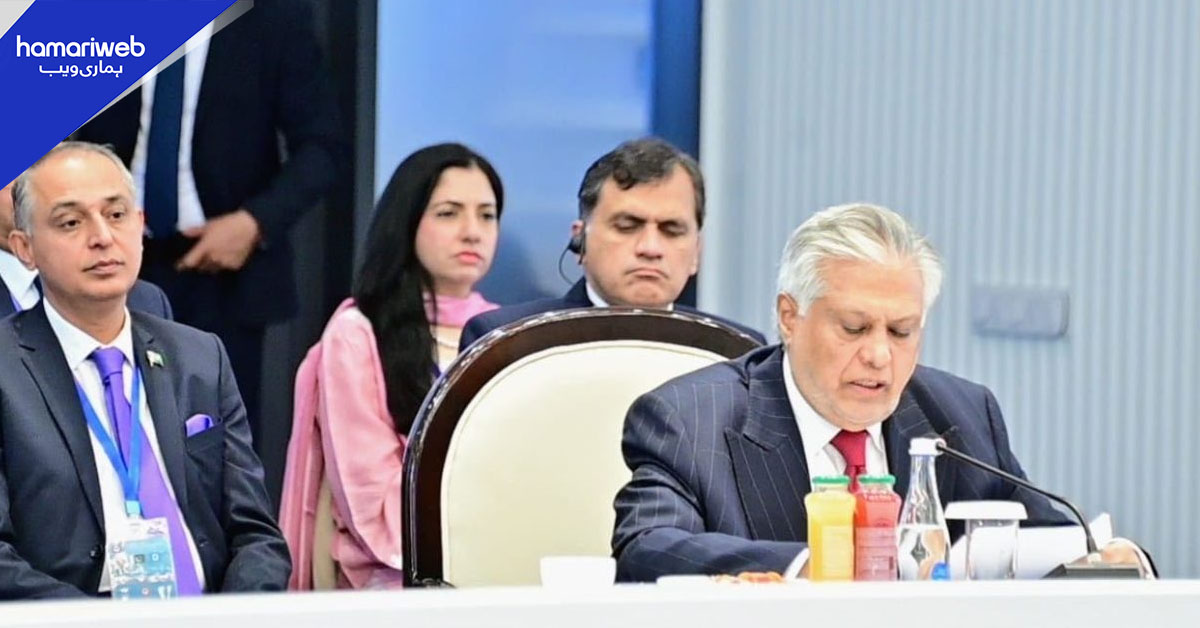 ایس سی او وزرائے خارجہ اجلاس: اسحاق ڈار کا دہشت گردی، افغانستان اور علاقائی تعاون پر زور