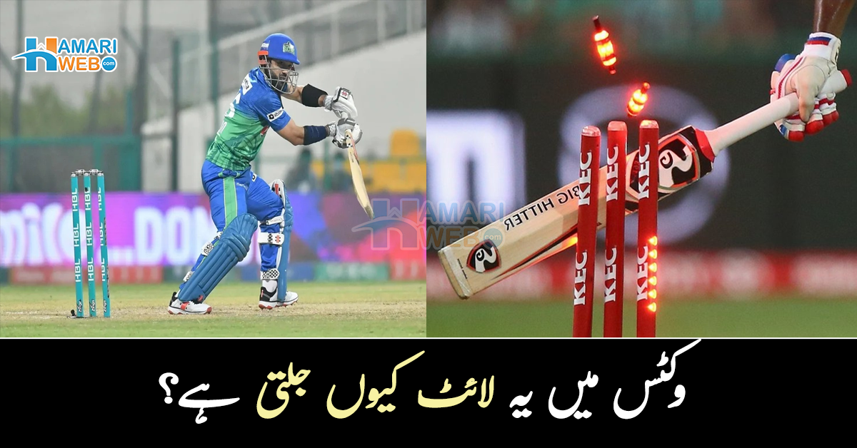 وکٹس میں یہ لائٹ کیوں جلتی ہے؟ آؤٹ کرنے والی اس وکٹ کی دلچسپ ویڈیو 