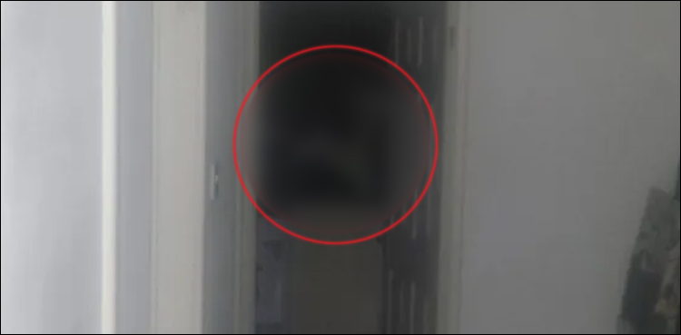 گھر کے دروازے پر ’’بھوت‘‘ ۔۔۔ نوجوان الٹے پاؤں بھاگ نکلا، تصویر دیکھیں