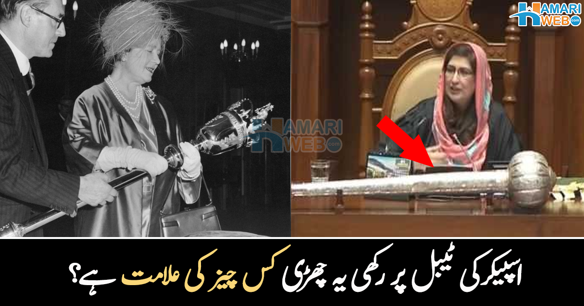 یہ چھڑی طاقتور کیوں ہوتی ہے اور کس چیز کی علامت ہے؟ اسپیکر کی ٹیبل پر موجود اس عجیب و غریب چھڑی سے متعلق دلچسپ معلومات