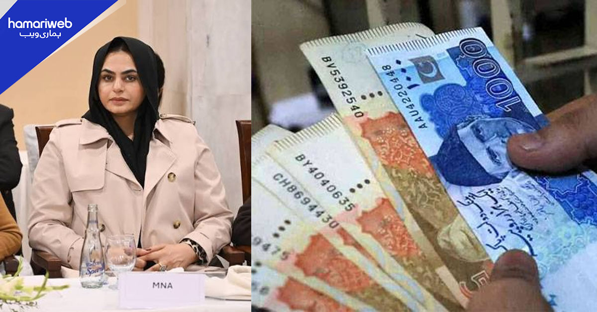 5 لاکھ میں گزارا نہیں، 10 لاکھ تنخواہ ہونی چاہیے، شمائلہ رانا کا مؤقف سن کر عوام حیران