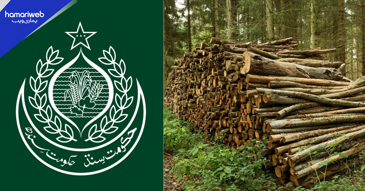 سندھ بھر میں رات کے وقت لکڑی اور فرنیچر کی نقل وحرکت پر پابندی عائد