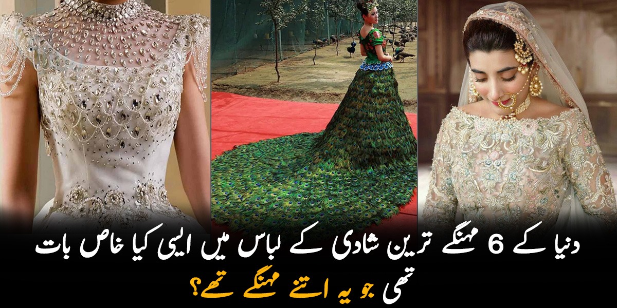 1 ارب کا ہیروں والا شادی کا جوڑا ۔۔ دنیا کے 6 مہنگے ترین شادی کے لباس میں ایسی کیا خاص بات تھی جو یہ اتنے مہنگے تھے؟