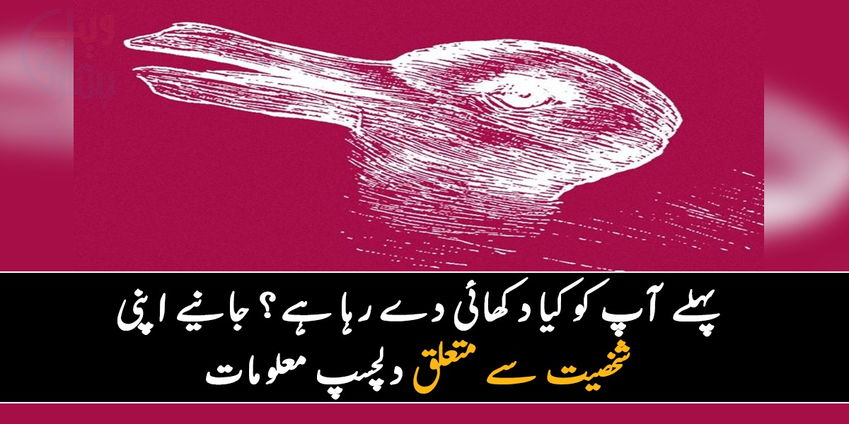 اس تصویر میں آپ کو پہلے کیا دکھائی دیا؟ آپ کا جواب آپ کی ذہانت اور شخصیت کے متعلق کیا بتاتے ہیں؟ جانیے