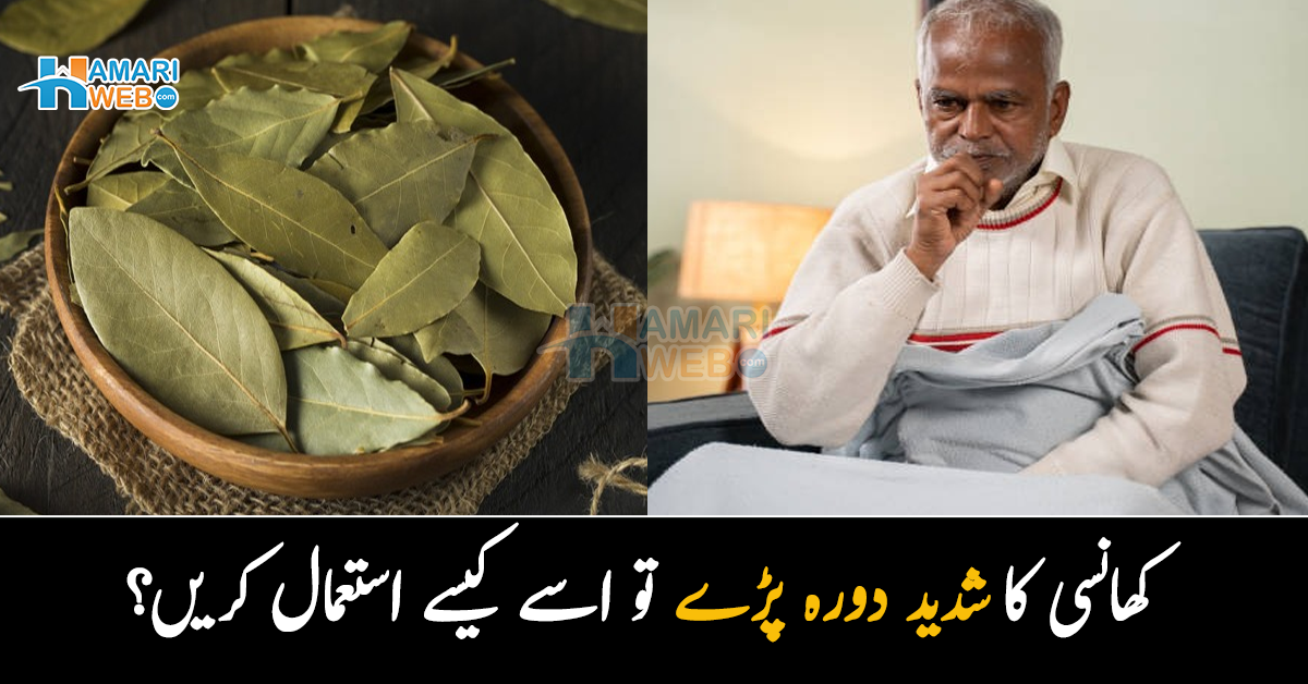  کھانسی کا شدید دورہ پڑے تو اسے کیسے استعمال کریں؟ تیز پات کے انوکھے فائدے جو آپ نے پہلے نہیں سنے ہوں گا