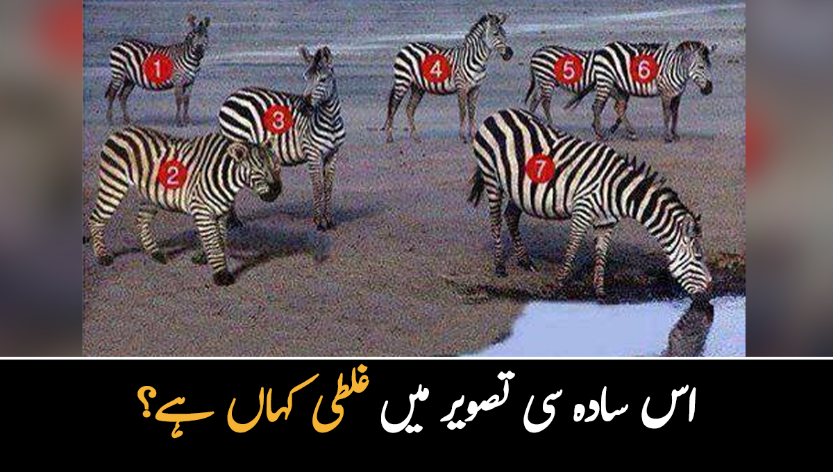 کیا آپ بتا سکتے ہیں کہ اس سادہ سی تصویر میں غلطی کہاں ہے؟ چیل جیسی نظر والے افراد بھی غلطی پکڑنے میں ناکام ہوجائیں گے