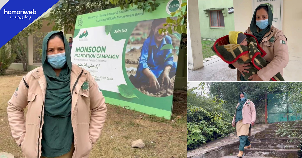 اسلام آباد کی بہادر خاتون نعمانہ ارم: حوصلے، قربانی اور عزم کی روشن مثال