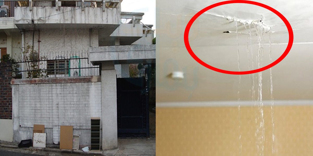 بارش کی وجہ سے آپ کی چھت سے بھی پانی ٹپک رہا ہے؟ جانئیے دیواروں اور چھت سے ٹپکتے پانی کو فوری روکنے کا سستا اور آسان طریقہ