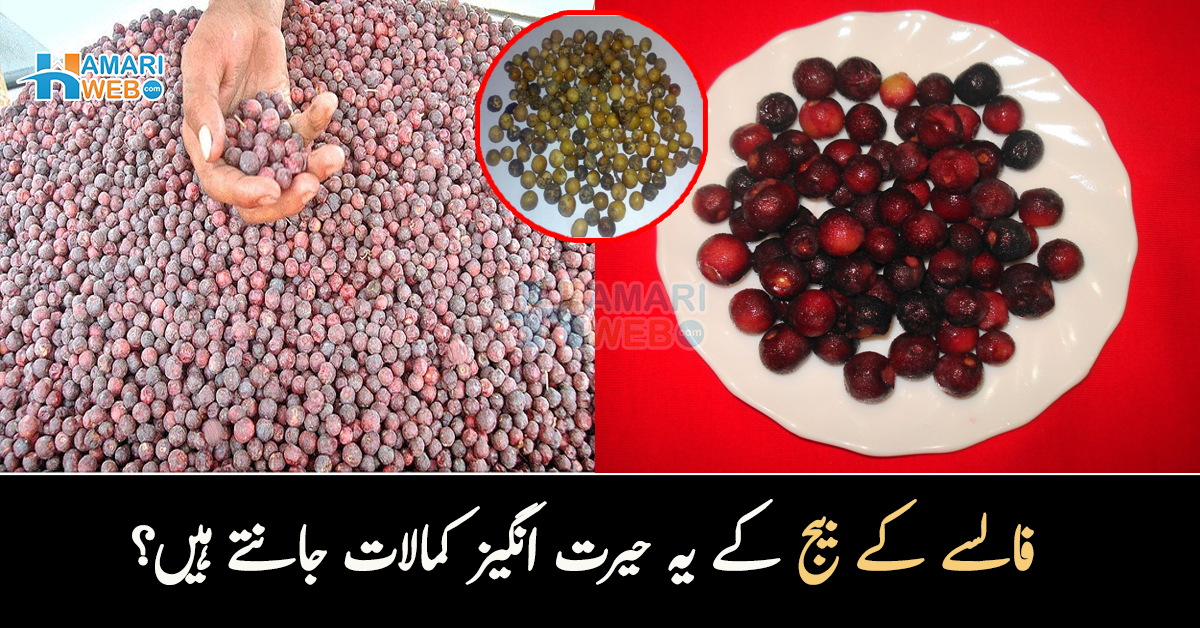 فالسے کے بیج جسم میں کیا تبدیلی لاتے ہیں۔۔ اگر آپ بھی کھاتے ہوئے انھیں پھینک دیتے ہیں تو جانیں ان کے حیرت انگیز کمالات 