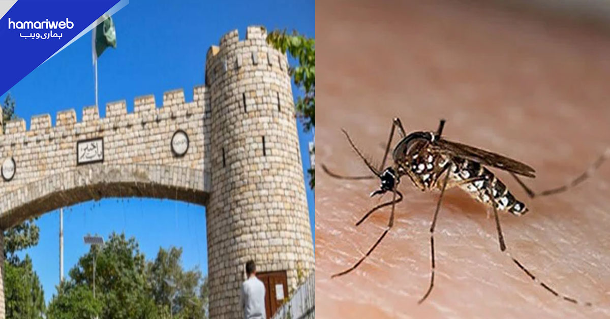 خیبر پختونخوا میں 43 نئے ڈینگی کیسز کی تصدیق