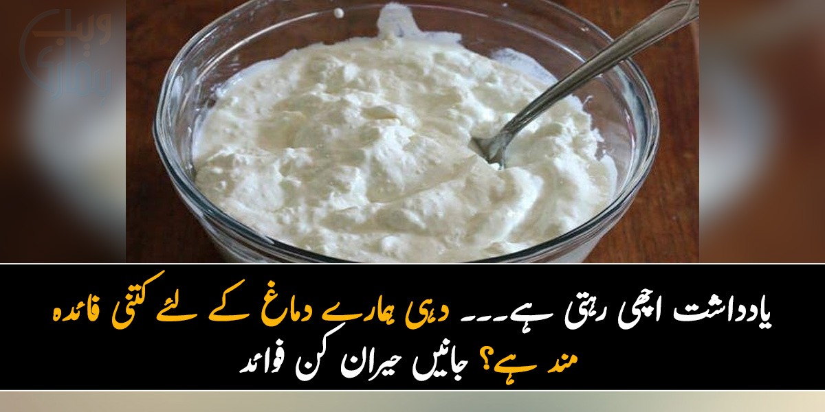 یادداشت اچھی رہتی ہے۔۔۔ دہی ہمارے دماغ کے لئے کتنی فائدہ مند ہے؟ جانیں حیران کن فوائد