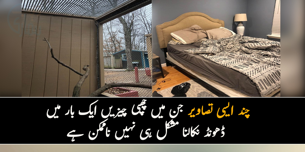 ان تصویروں کو دوسری بار دیکھنے پر کوئی جرمانہ نہیں لگے گا ۔۔ چند ایسی تصاویر جن میں چھپی چیزیں ایک بار میں ڈھونڈ نکالنا مشکل ہی نہیں ناممکن ہے