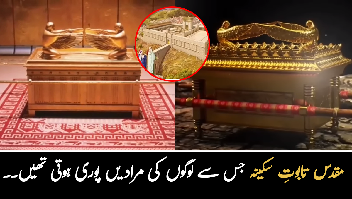 مقدس تابوت جس سے لوگوں کی مرادیں پوری ہوتی تھیں ۔۔ تابوتِ سکینہ کیا ہے اور اس کے اندر کونسی خاص چیزیں موجود تھیں؟