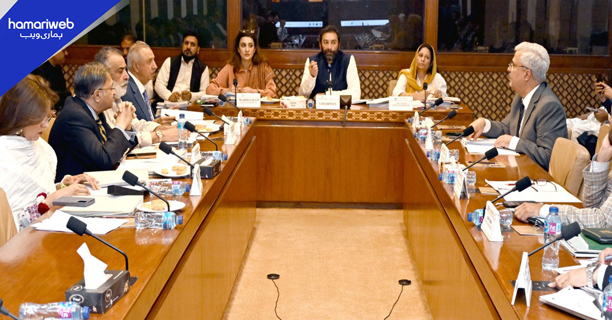 سینیٹ قائمہ کمیٹی داخلہ کی اہم قانون سازی منظور، پارلیمنٹ لاجز کی خستہ حالی پر تشویش