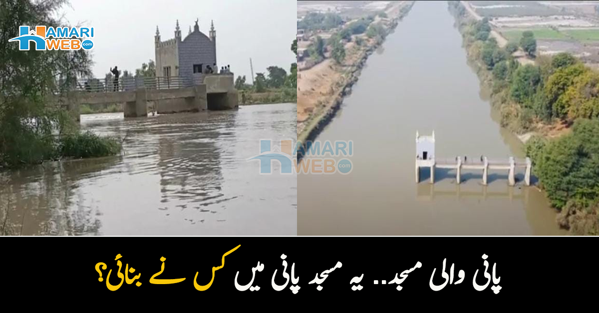 پانی والی مسجد.. یہ مسجد پانی میں کس نے بنائی؟ اس سے جڑی حیرت انگیز تاریخ