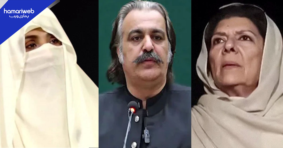 بشریٰ اور علیمہ سے متعلق بیانات، پی ٹی آئی کا علی امین کیخلاف ایکشن کا فیصلہ
