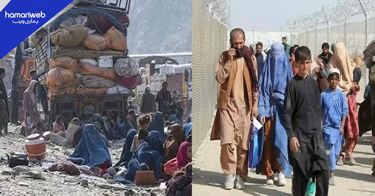 پنجاب سے غیر قانونی مقیم افغان باشندوں کی واپسی جاری، 35 ہزار سے زائد ڈی پورٹ